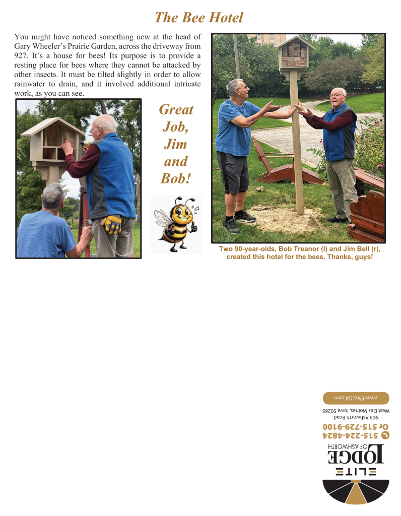 Ashworth – Newsletter October 2024 (FINAL)-8