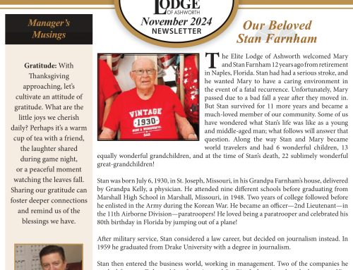 November 2024 Newsletter